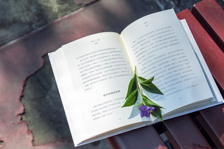暨南大學(xué)MPA面試時(shí)間什么時(shí)候？