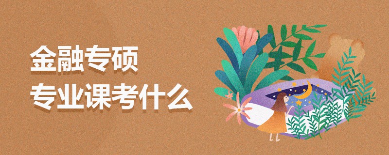 金融專碩專業(yè)課考什么
