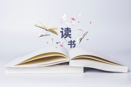 報(bào)考上海對(duì)外經(jīng)貿(mào)大學(xué)專業(yè)碩士課程需要多少錢？