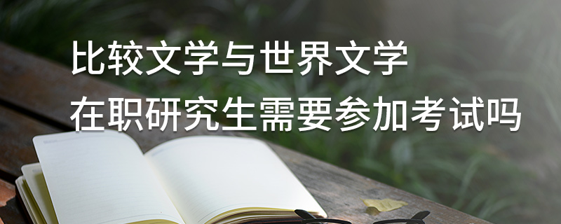 比較文學(xué)與世界文學(xué)在職研究生需要參加考試嗎