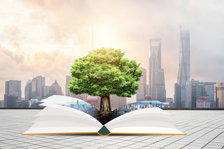 中國政法大學在職研究生招生類型