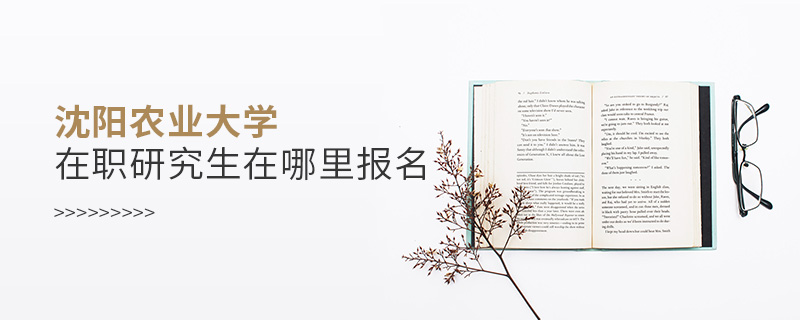 沈陽農(nóng)業(yè)大學(xué)在職研究生在哪里報(bào)名