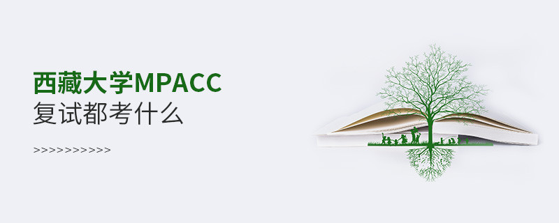 西藏大學(xué)MPAcc復(fù)試都考什么？
