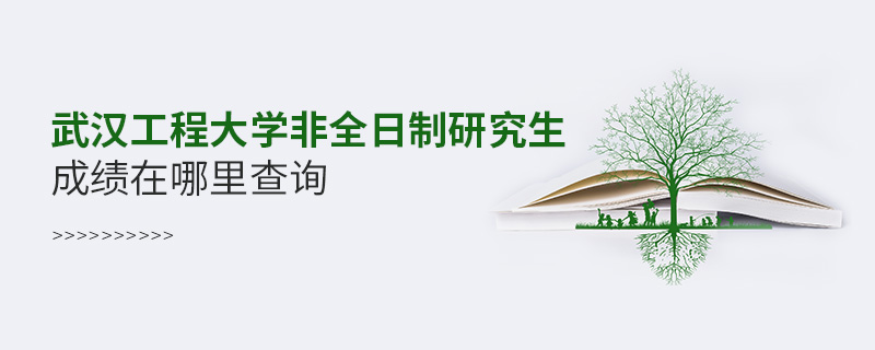 武漢工程大學(xué)非全日制研究生成績在哪里查詢