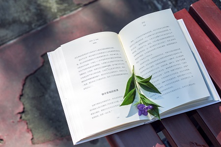 天津大學MPA專業(yè)都考什么？