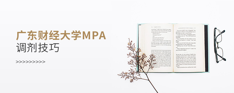廣東財經(jīng)大學(xué)MPA調(diào)劑技巧匯總！