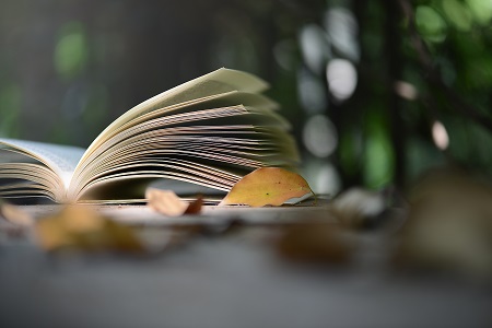 西南交通大學(xué)非全日制研究生MBA專業(yè)調(diào)劑流程