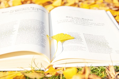 上海對(duì)外經(jīng)貿(mào)大學(xué)MF可以獲得雙證嗎？
