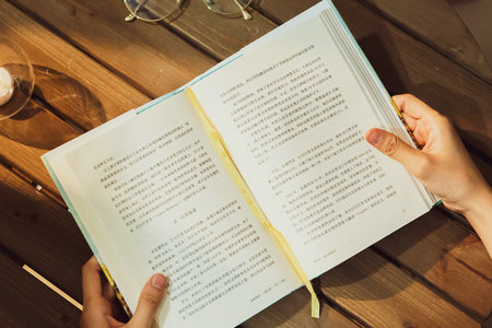 法國諾曼底管理學(xué)院國際碩士工作經(jīng)驗