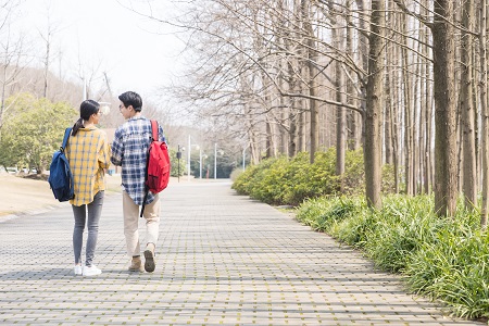 東北大學(xué)MPA報(bào)考流程！