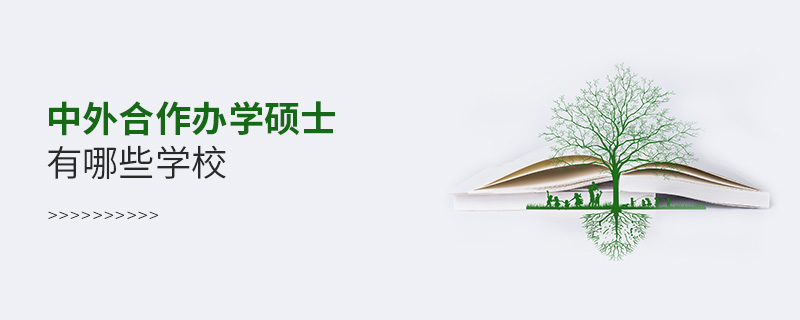 中外合作辦學(xué)碩士有哪些學(xué)校