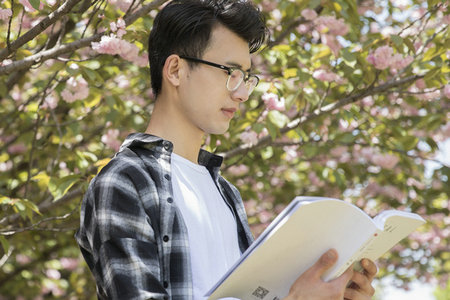 俄羅斯人民友誼大學(xué)報(bào)考類型