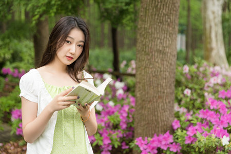 北京師范大學(xué)在職研究生備考時(shí)間