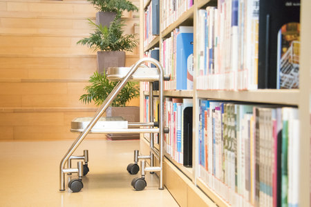 景德鎮(zhèn)陶瓷大學在職研究生報名及考試時間