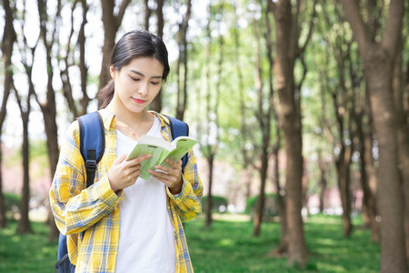 西班牙內布里哈大學國際博士學費