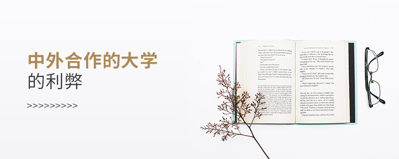中外合作的大學(xué)的利弊
