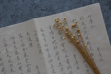 漢語言文字學(xué)在職研究生就業(yè)方向與前景！