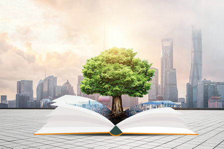 概率論與數(shù)理統(tǒng)計(jì)在職研究生報(bào)名及考試時(shí)間