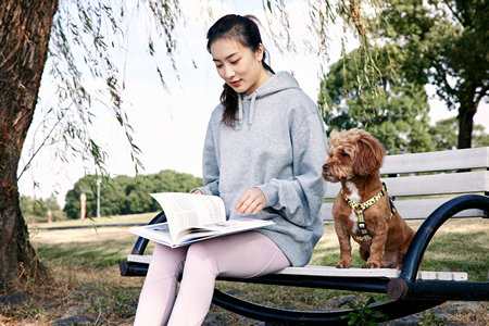 景德鎮(zhèn)陶瓷大學(xué)MPAcc報名入口