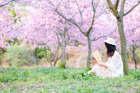 西華師范大學(xué)非全日制研究生報名入口