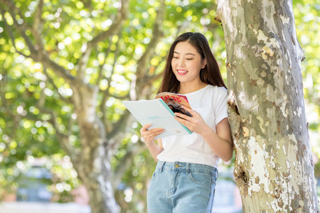 東北林業(yè)大學(xué)非全日制研究生報(bào)名入口