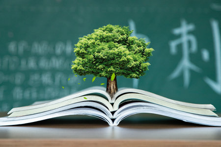 西班牙加泰羅尼亞理工大學(xué)國際博士報名入口
