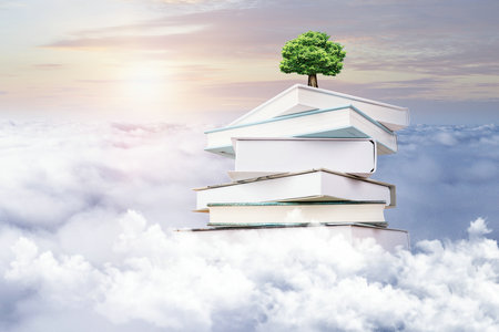 福建師范大學(xué)非全日制研究生考試成績(jī)查詢流程 福建師范大學(xué)非全日制研究生考試成績(jī)查詢流程