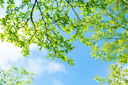 類型詳解！河南財經(jīng)政法大學(xué)在職研究生招生類型