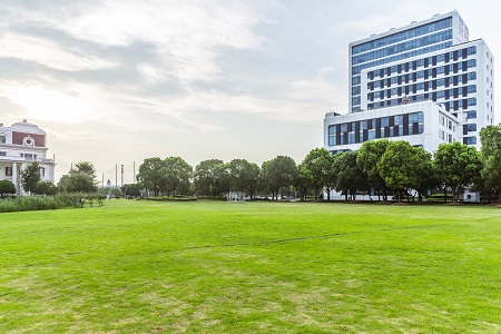  山東大學(xué)MPA招生條件