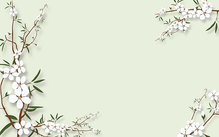 深圳大學(xué)在職研究生熱門(mén)招生專業(yè)推薦！