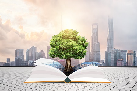  2022年上海交通大學(xué)MBA招生流程