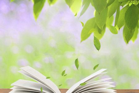 西南科技大學金融專碩招生條件