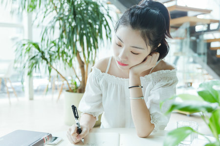 美國西東大學(xué)國際博士招生專業(yè)目錄一覽表