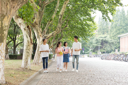 西班牙內(nèi)布里哈大學(xué)招生人群