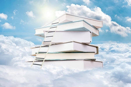 美國林肯大學高級工商管理碩士（EMBA）招生人群