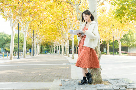 美國伊利諾伊大學(xué)國際碩士招生情況