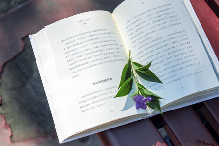 中國社會科學(xué)院大學(xué)MBA招生人群