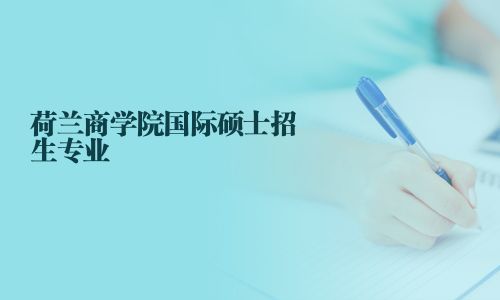 荷蘭商學(xué)院國(guó)際碩士招生專業(yè)