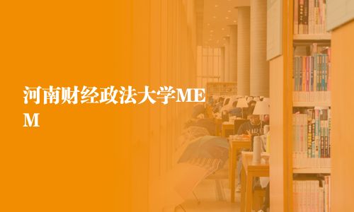 河南財(cái)經(jīng)政法大學(xué)MEM