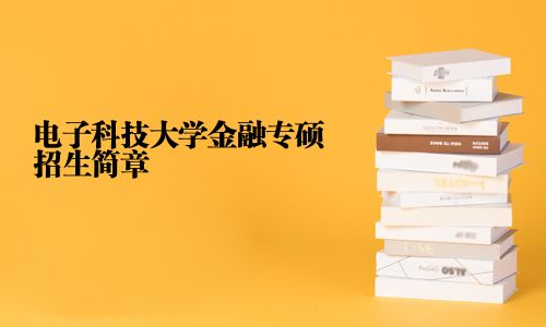 電子科技大學(xué)金融專碩招生簡章