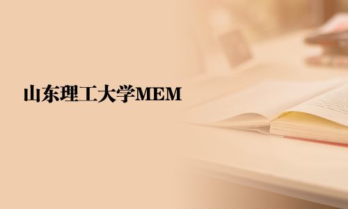 山東理工大學(xué)MEM