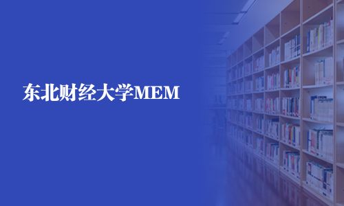 東北財經(jīng)大學MEM