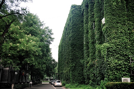 北京大學(xué)軟件與微電子學(xué)院工程管理碩士研究方向