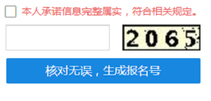 驗證碼