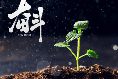 企業(yè)管理國際碩士學(xué)制學(xué)費