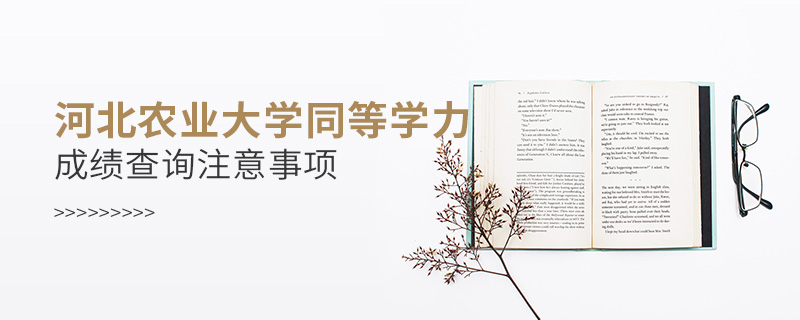 河北農(nóng)業(yè)大學(xué)同等學(xué)力申碩成績查詢注意事項