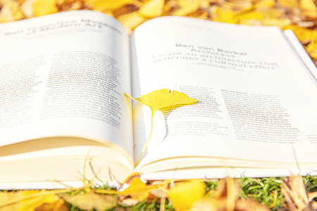 江西財(cái)經(jīng)大學(xué)同等學(xué)力行政管理專(zhuān)業(yè)招生詳情
