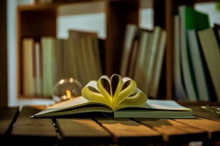 西北師范大學基礎心理學在職研究生招生詳情