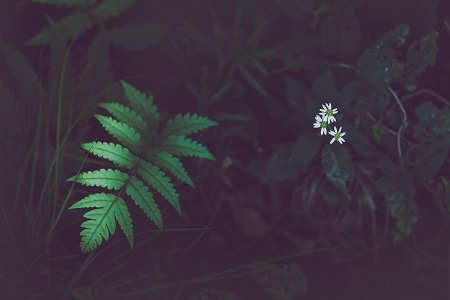 準備讀首都經(jīng)濟貿(mào)易大學在職研究生的你，知道這些福利嗎？