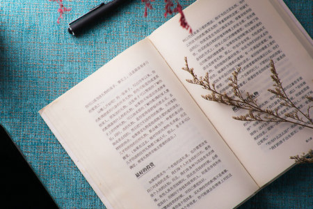 河北大學(xué)廣播電視非全日制研究生就業(yè)方向有哪些